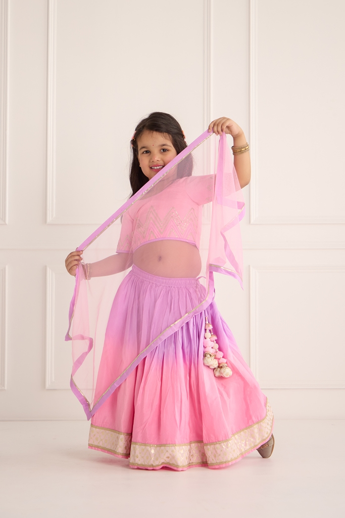 Pink and purple ombre lehenga - Image 4